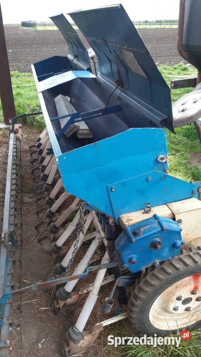 Siewnik Poznaniak 6 Wiązów