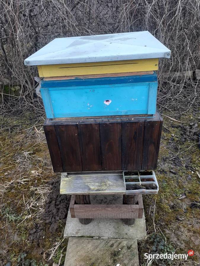 ule warszawskie poszerzone miodarka ramki ule Pszczelarstwo Wilczyce