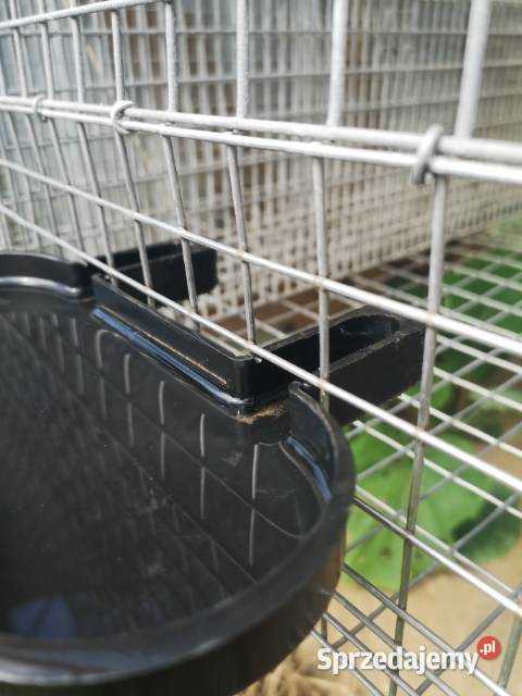 Klatka królika Sławno
