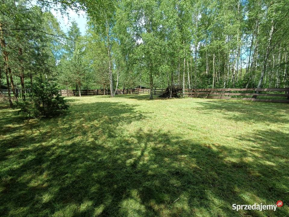 Piękna działka w spokojnej okolicy otoczona