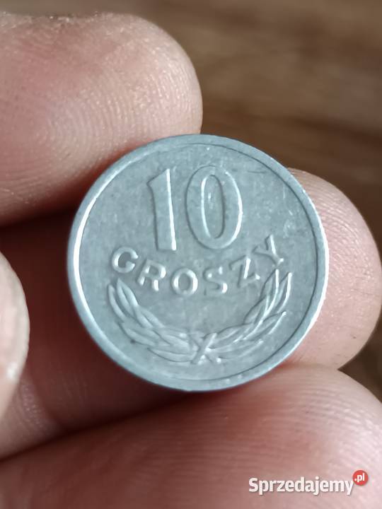 Sprzedam 10 gr 1949 Chełm