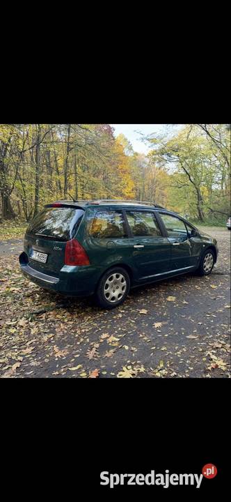 Peugeot 307sw Panorama7 miejscKlima