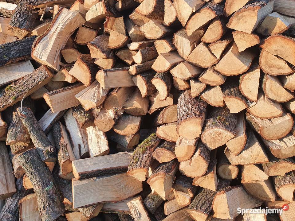 DREWNO kominkowe łupane OPAŁ Warszawa