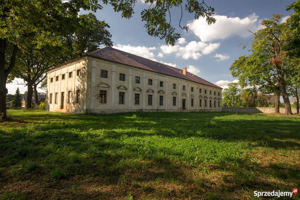 Sprzedam pałac z projektem na dom seniora SPA opolskie Krzywiczyny