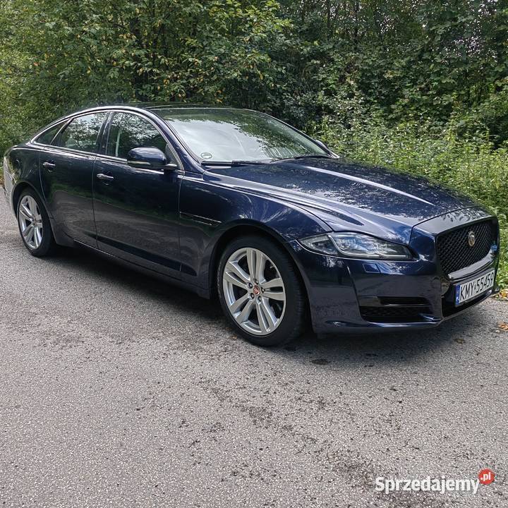 Jaguar XJ 30 300 diesel XJ Jaguar sprzedam
