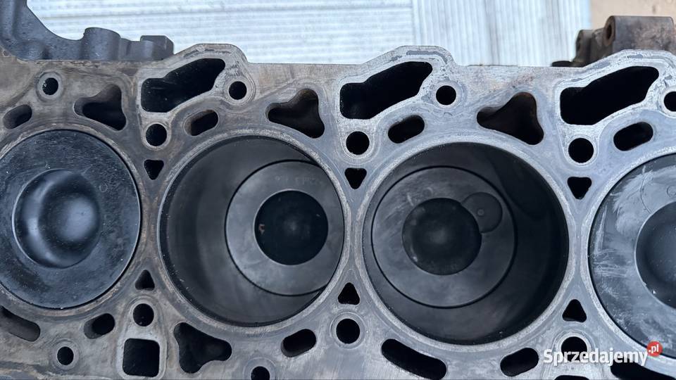Blok silnika Ford Transit 24 TDCI Starogard Gdański