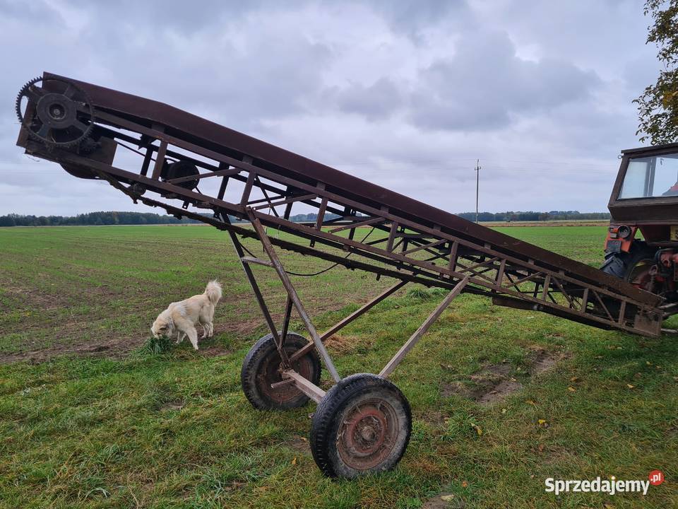 Transporter do obornika Taśmociąg Podajnik Wyszków