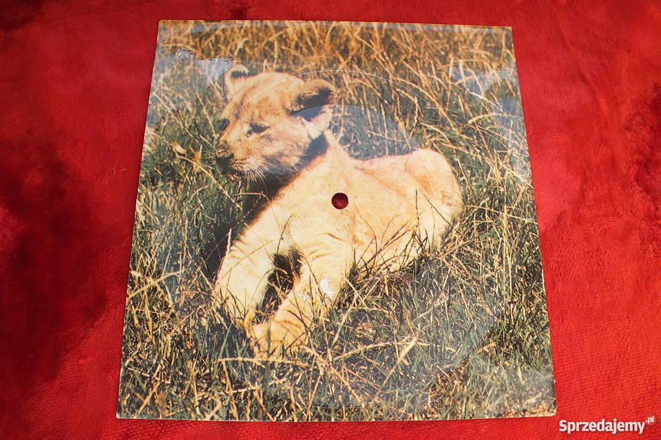 Stara pocztówka dźwiękowa Linda Bella Charlie Żary