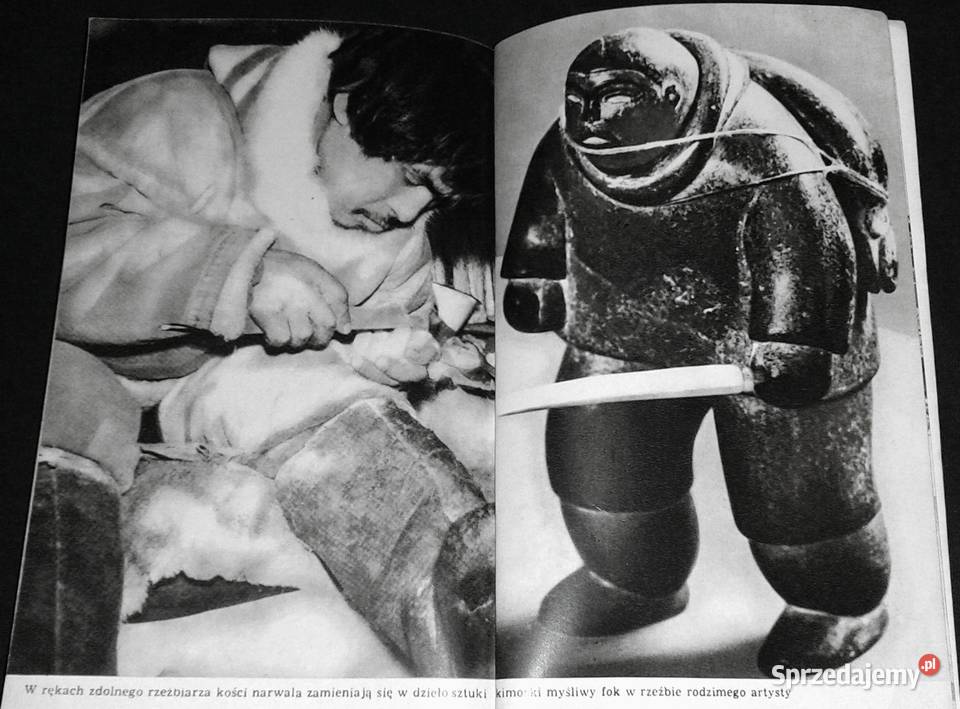 Inuk Roger Buliard Chełm