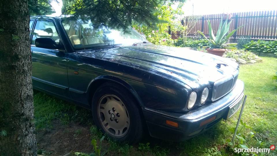 Jaguar xj6 x300 40L LPG 241 z polskiego salonu podkarpackie Nisko sprzedam