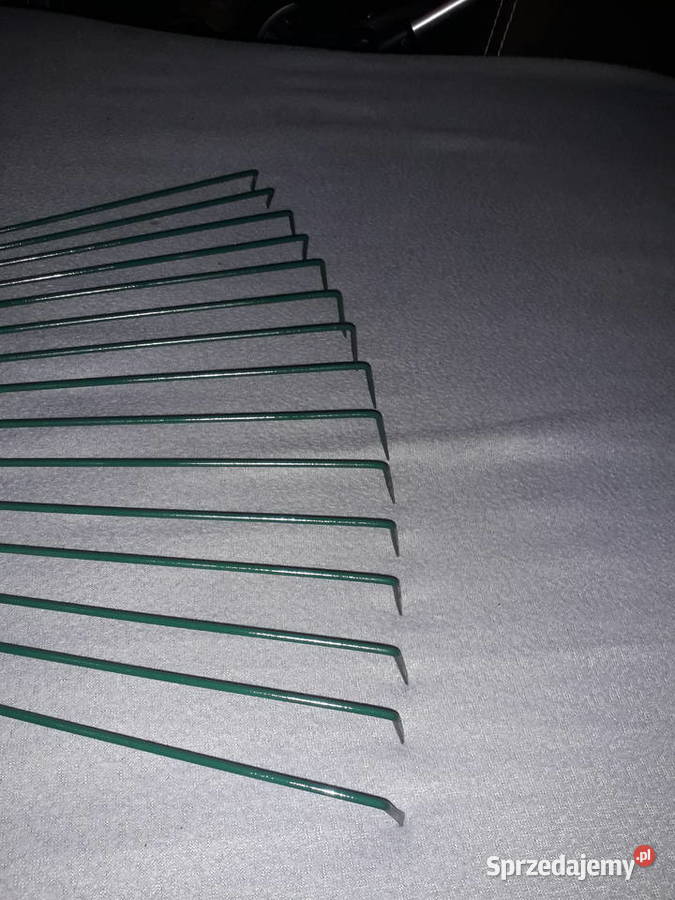 Grabki pazury mazowieckie Warszawa