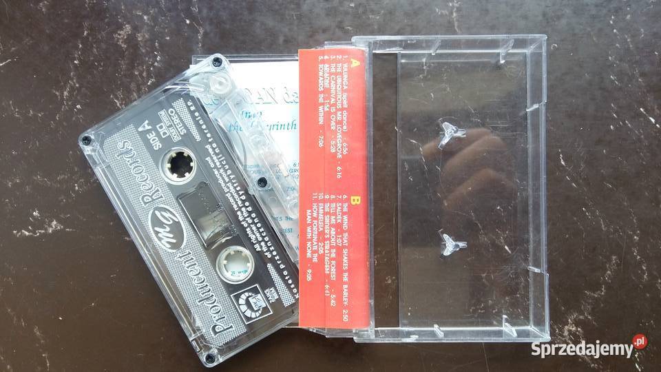 Kaseta magnetofonowa Dead can dance Into the Muzyka