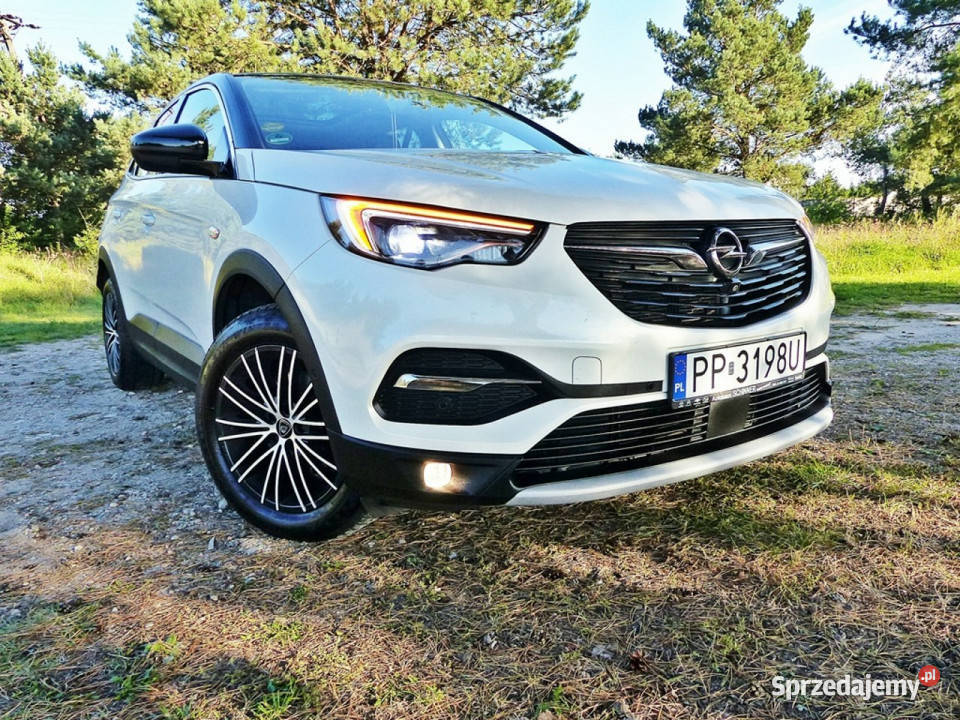 Opel Grandland X 15 4/5 Piła