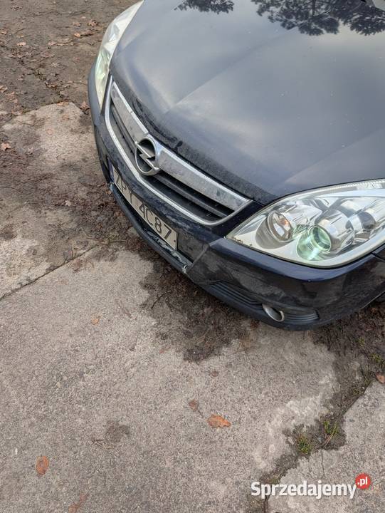 Opel Signum 19 cdti 150 pomorskie Słupsk sprzedam