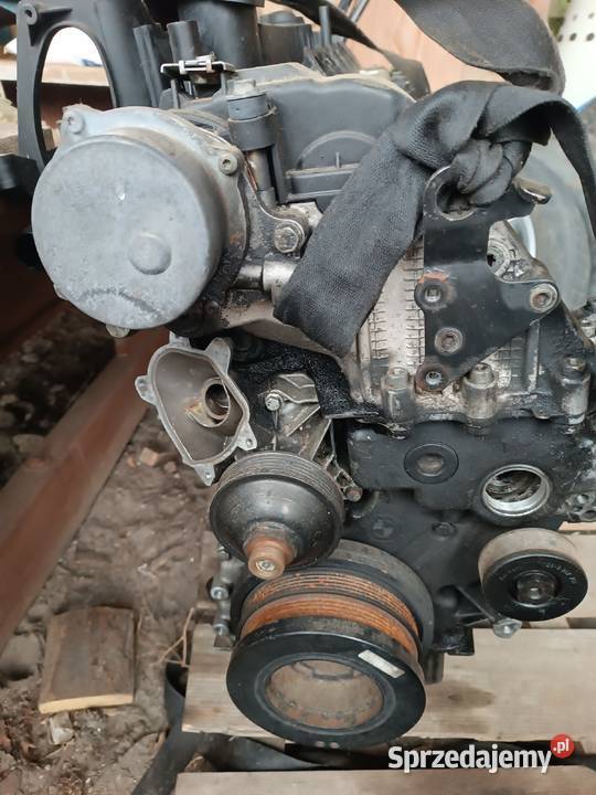 Silnik bmw m57 30 d miska koło pasowe głowica lubelskie Biłgoraj sprzedam