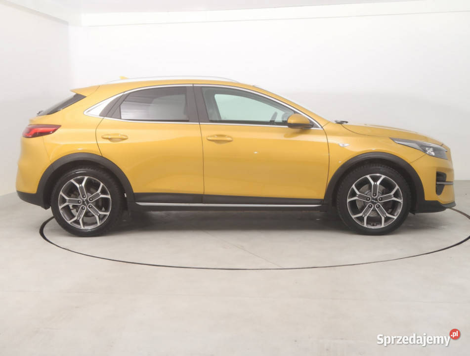 Kia XCeed 15 TGDI światła przeciwmgielne dolnośląskie Bielany Wrocławskie