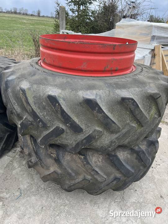 208r35 kolo blizniak sprzeg pomorskie Solnica