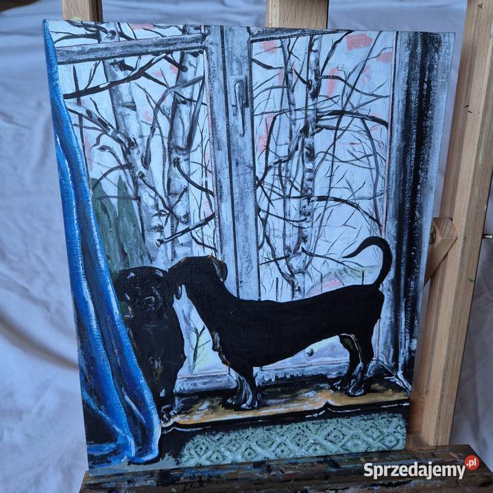 Jamniki jamnik w oknie obraz na płótnie artysty małopolskie Brzesko