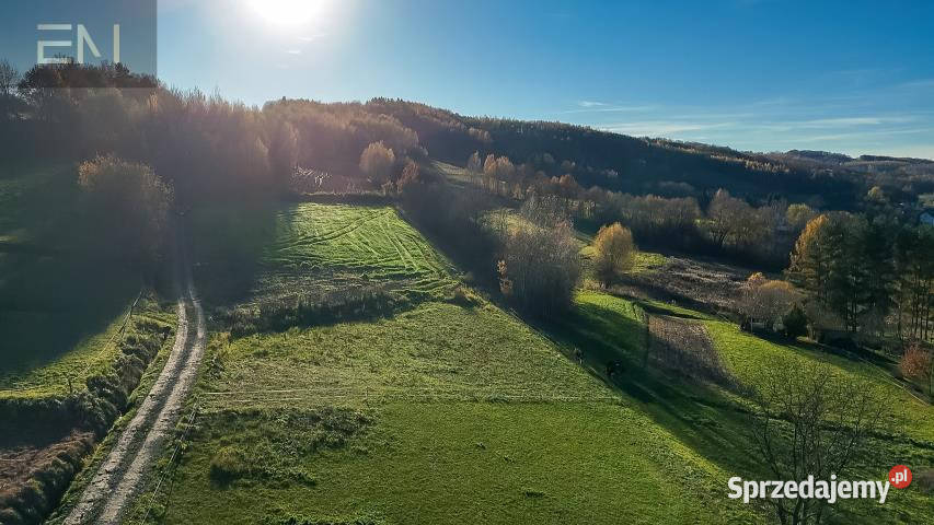 Do sprzedaży działka 1223 metry Nowa Wieś 1223m2