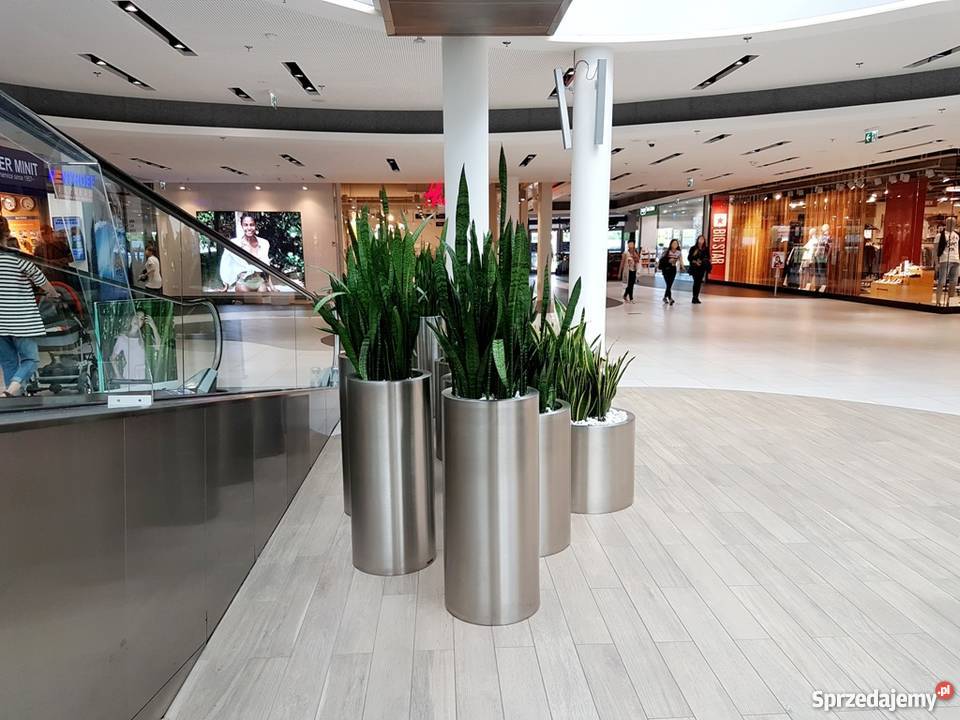 Duże Nowoczesne Donice do Biur Hoteli Luksusowe Kraków