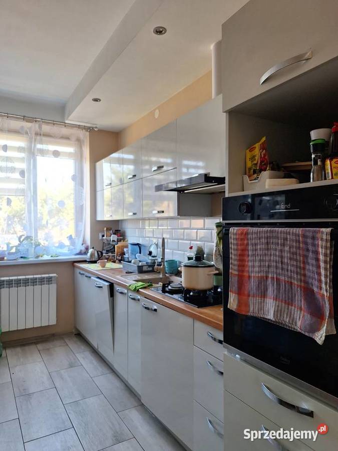 Dom jednorodzinny 1300m2 Ćmielów sprzedam