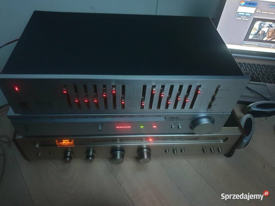 Pioneer sg 300 korektor graficzny Leżajsk