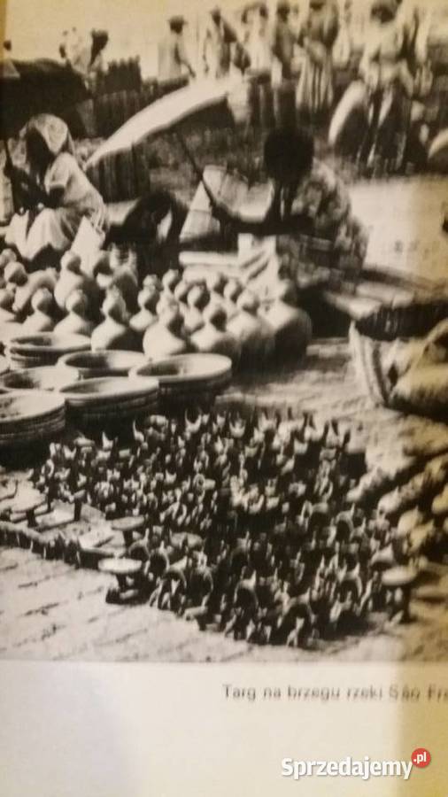 Niknący świat Lepecki książki Warszawa