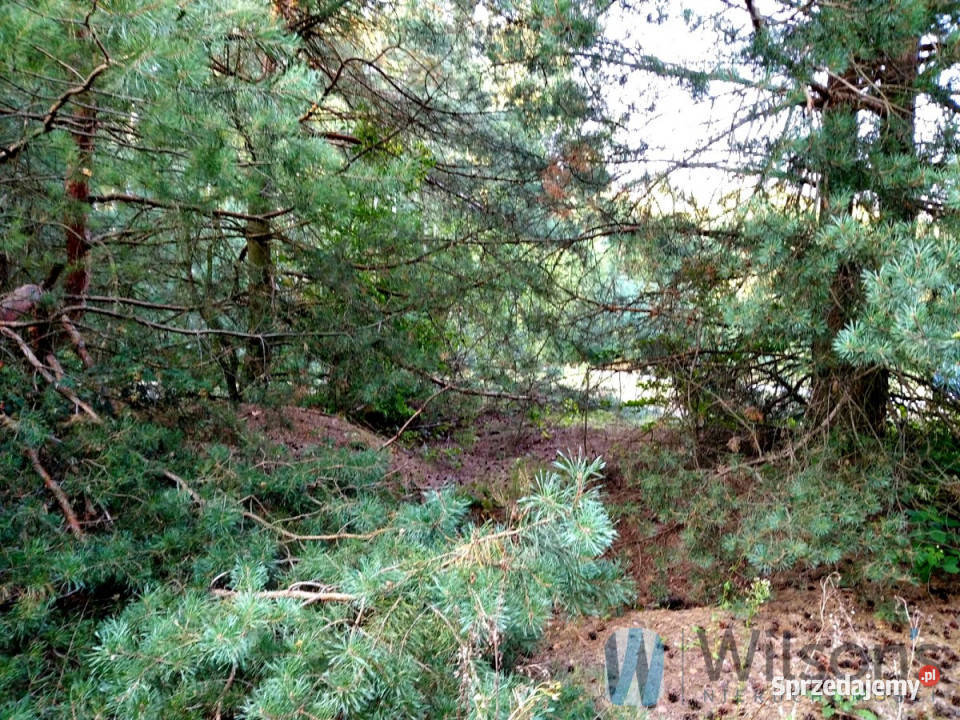 Grunt Niemianowice 1800m2 60zł/m2 mazowieckie