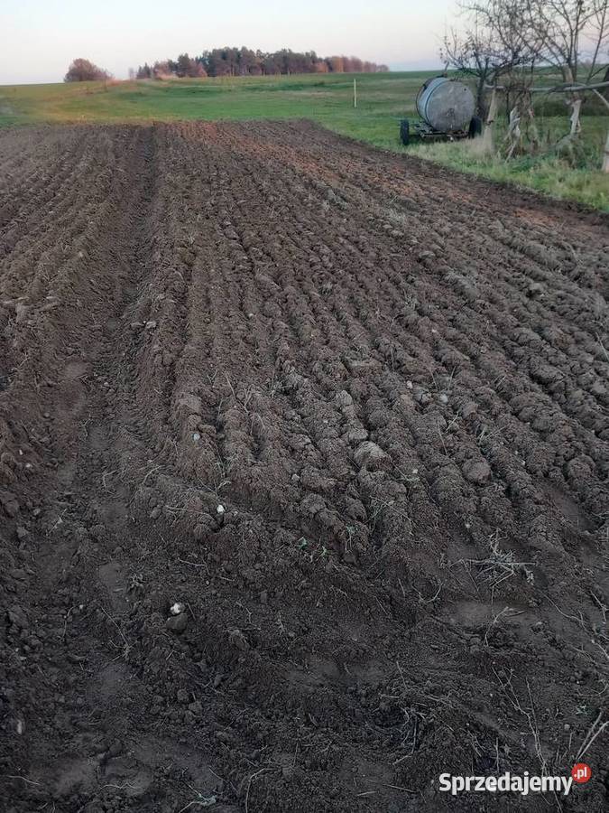 Traktorki jednoosiowe gudbrod terra vari Bolesławiec