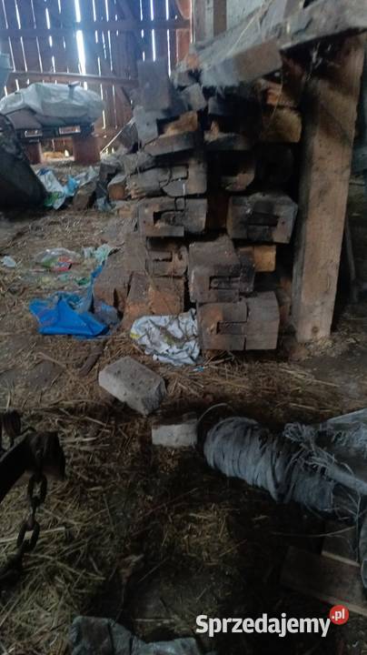 100 letnia wierzba dachowa Nowogard