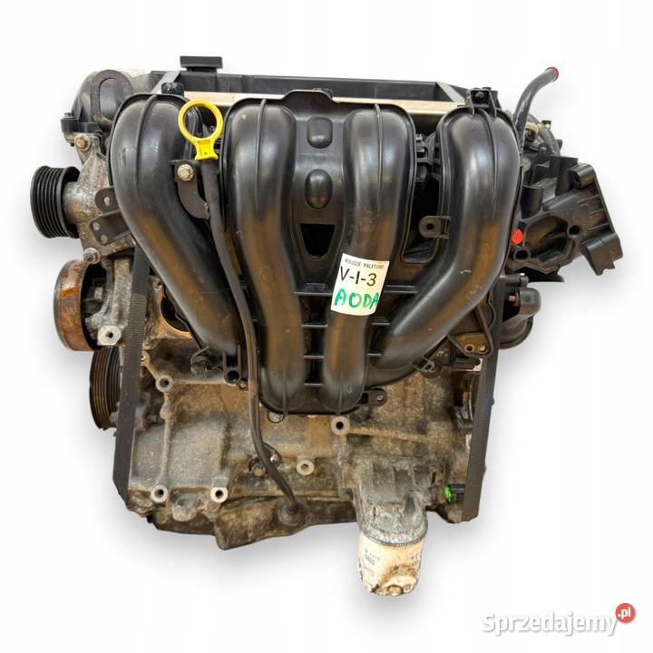 SILNIK AODA Ford Focus II MK2 C 20 16V 145 SYDA lubelskie Chełm