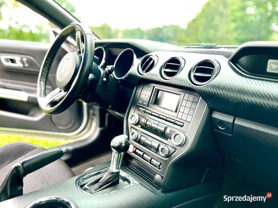 Mustang 37 2016 Skierniewice