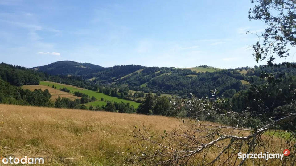 sprzedaży gruntu 3566m2 Walim 54zł/m2