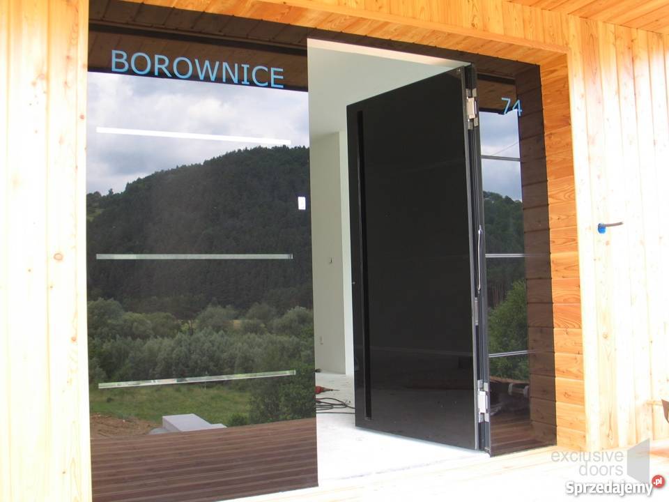 Drzwi aluminiowe Schuco ze szklanym panelem małopolskie Piwniczna-Zdrój