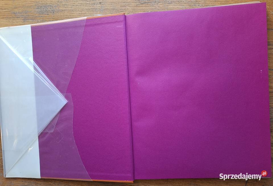 Witkacy Irena Jakimowicz Kraków