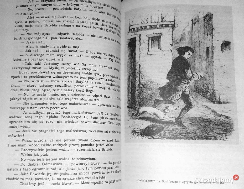 Kawaler dHarmental Aleksander Dumas miękka Chełm