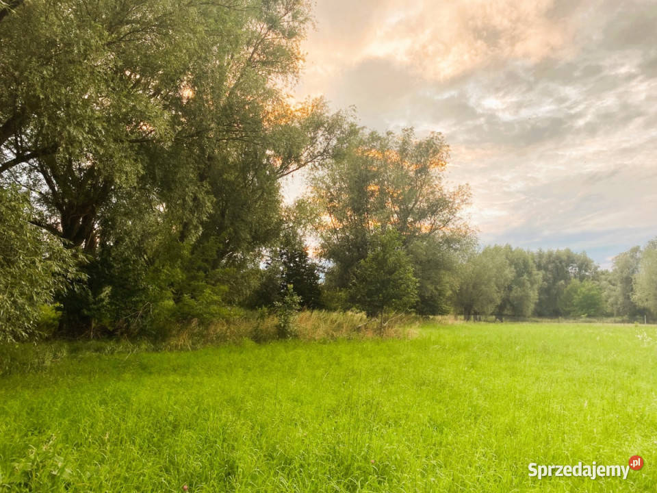 Nieruchomość 16 650 m2 działki budowlane i rolna Cząstków Mazowiecki