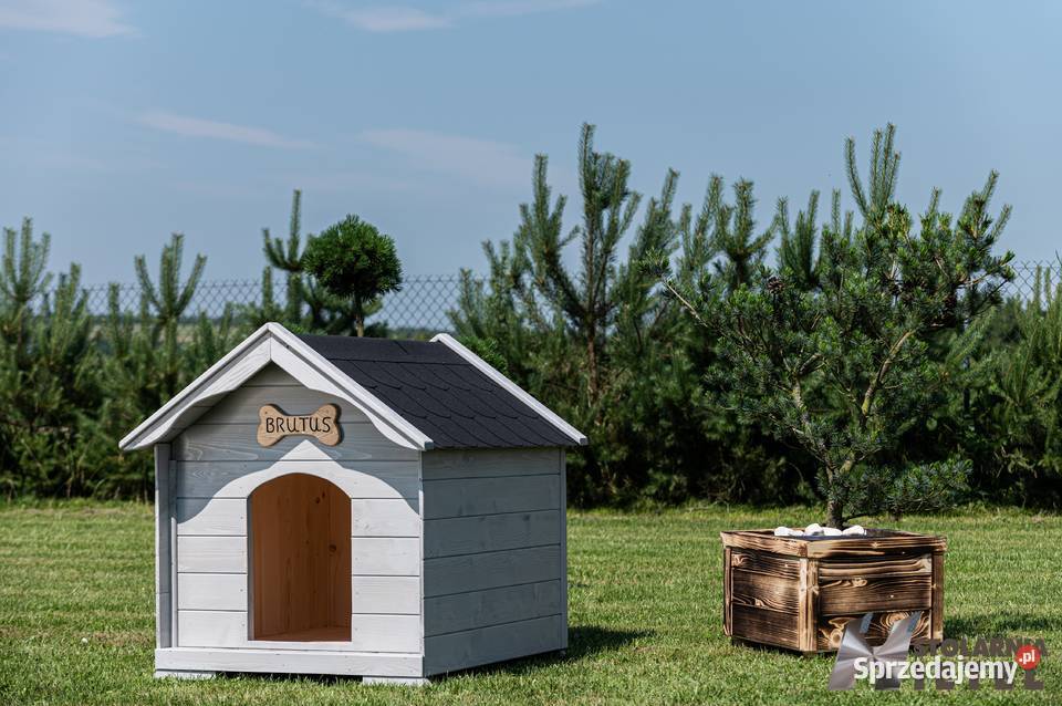 Buda dużego psa PRODUCENT WYSYŁKA CAŁA POLSKA Stopnica