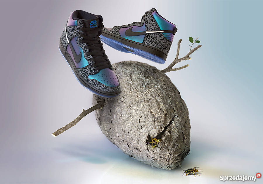 NIKE SB X Black SHEEP Dunk High Pro premiera skóra wielkopolskie Poznań