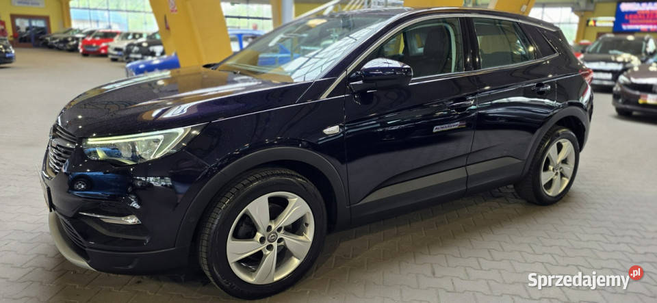 Opel Grandland X 20182019 OPIS W podanej roczna przyciemniane szyby Mysłowice