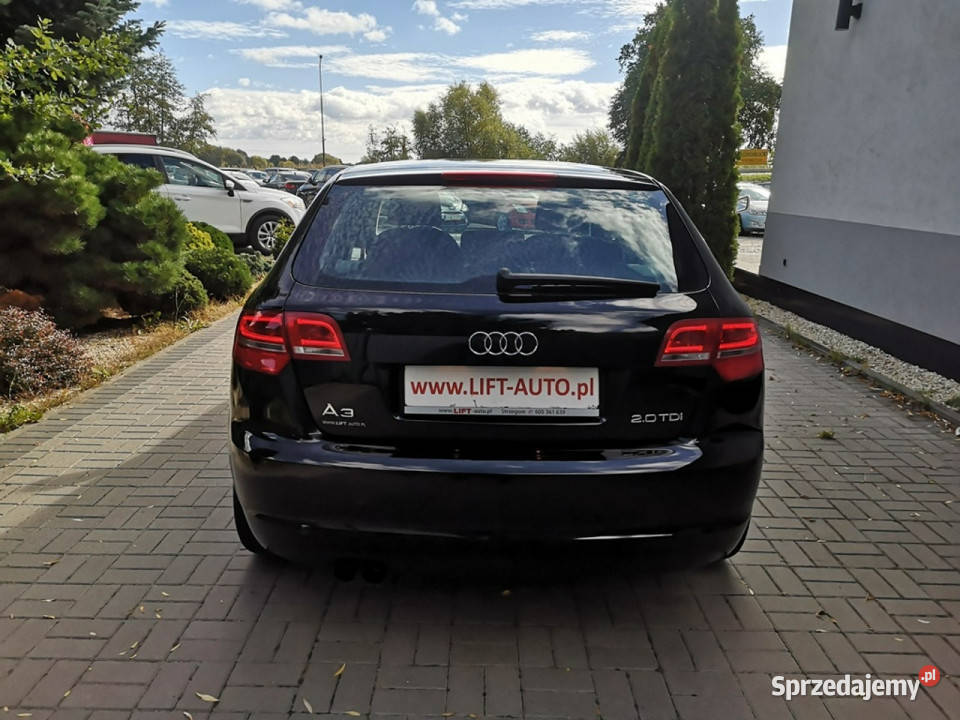 Audi A3 Sportback 20 TDI 140 Klimatronic dolnośląskie Strzegom