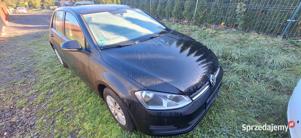 VW Golf VII 12 TSI 86 koni niski przebieg dolnośląskie Wilków