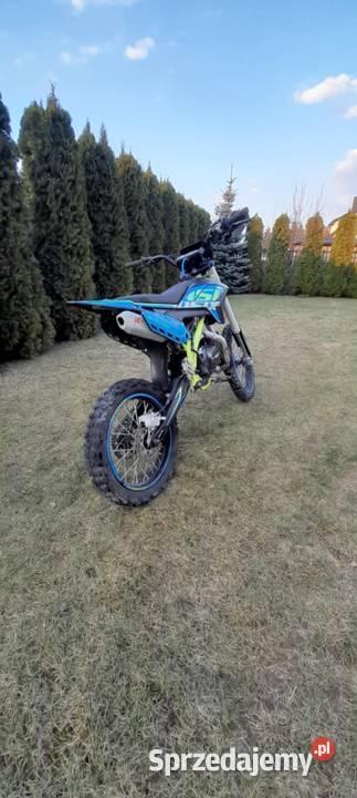 Asix lizzard 125 łańcuch Pozostałe Sobolew