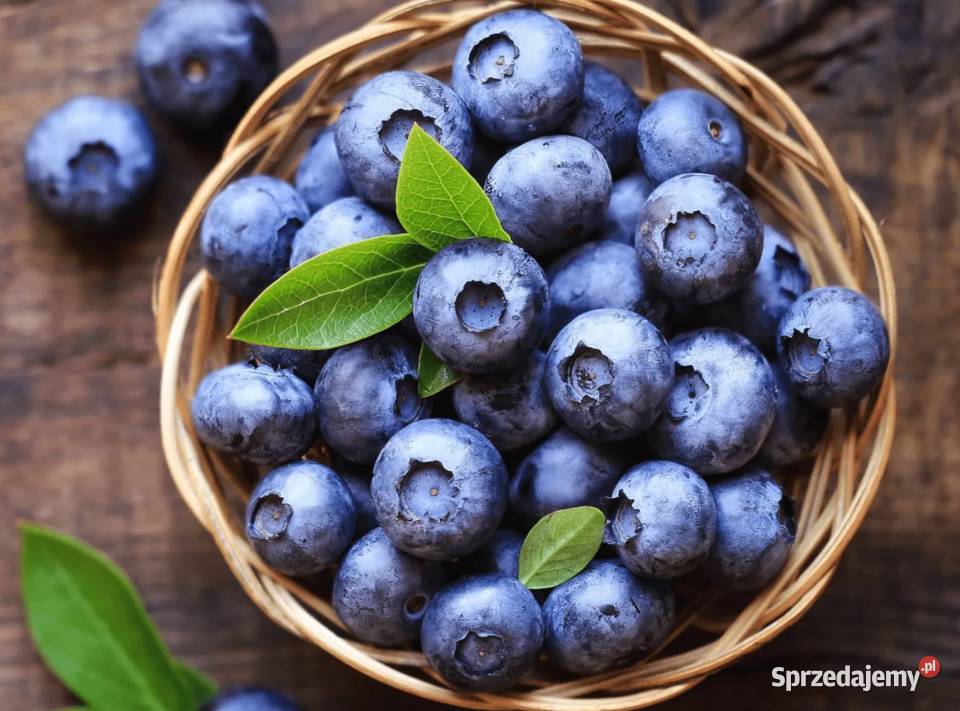 Wysokiej jakości borówki truskawki wiśnie Szczecin sprzedam