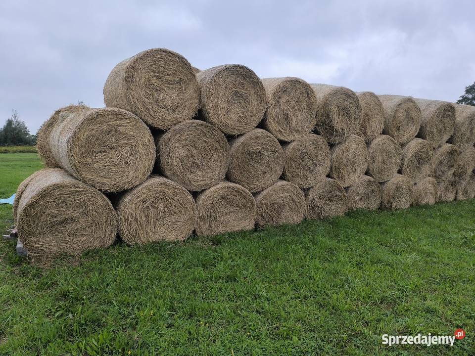 Słoma Pszenna Grodzisk Mazowiecki sprzedam