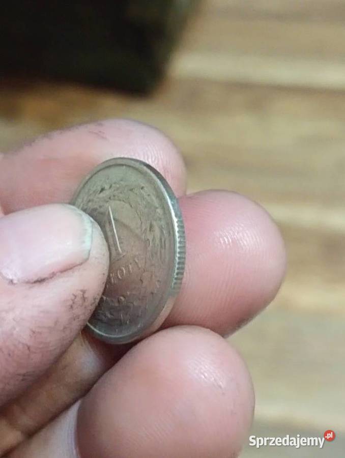 Sprzedam monete 1 zloty 1991r Numizmatyka Chełm