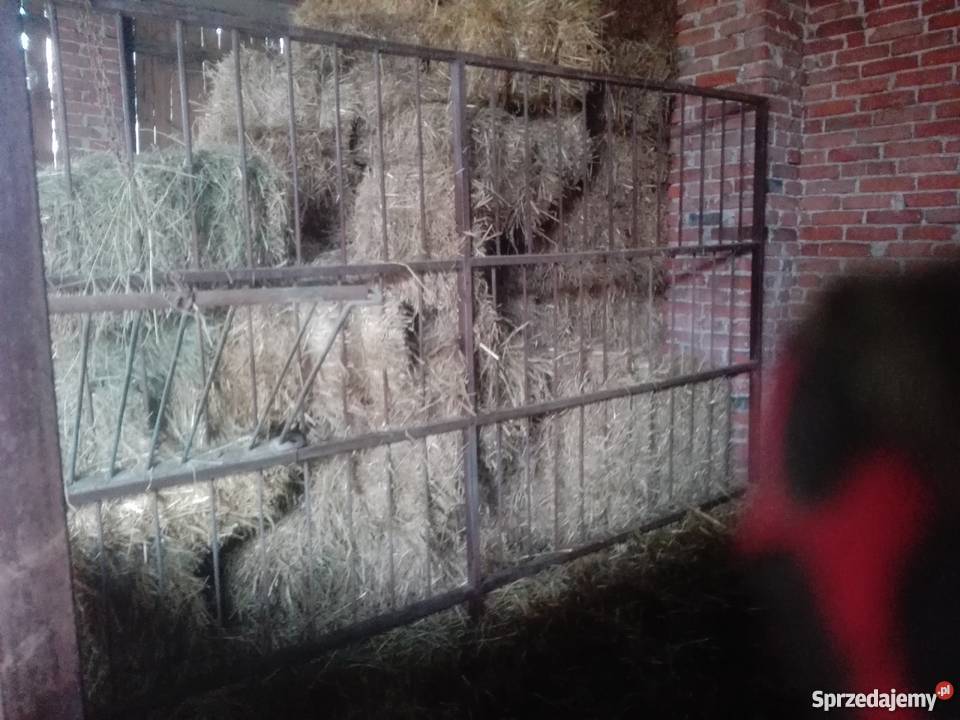 Boksy koni ogrodzenie Domaniewice