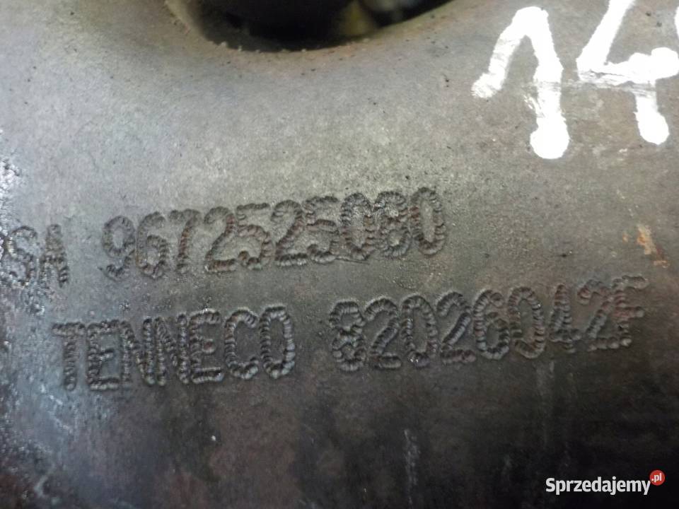 SCUDO JUMPY EXPERT 20 MJET 16r 130 RH02 kolektor świętokrzyskie Suków