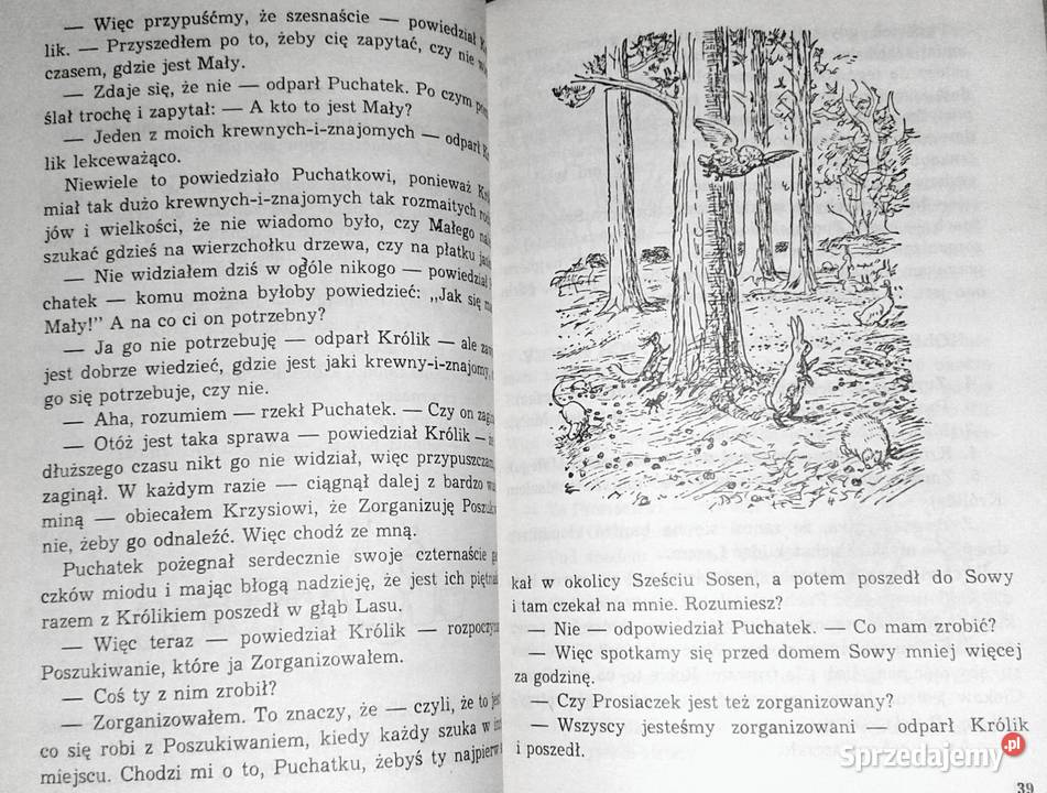 Chatka Puchatka Alan Alexander Milne Chełm sprzedam