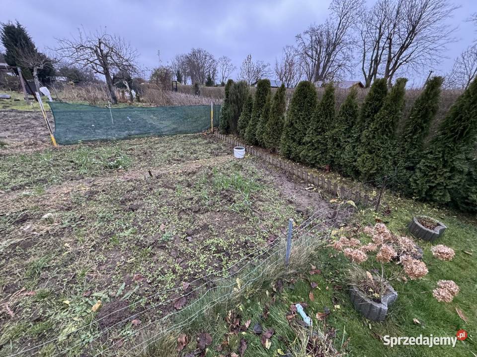 Ogródek ROD sprzedaż syndyka pomorskie Słupsk